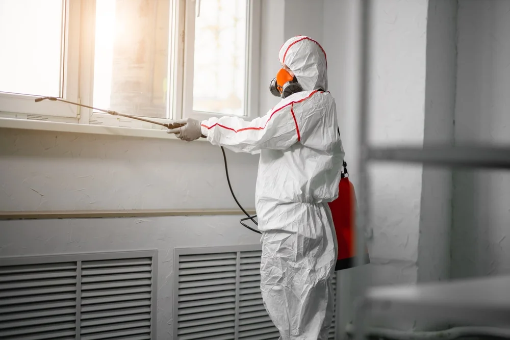 Professional mold remediation services in Croydon, UT